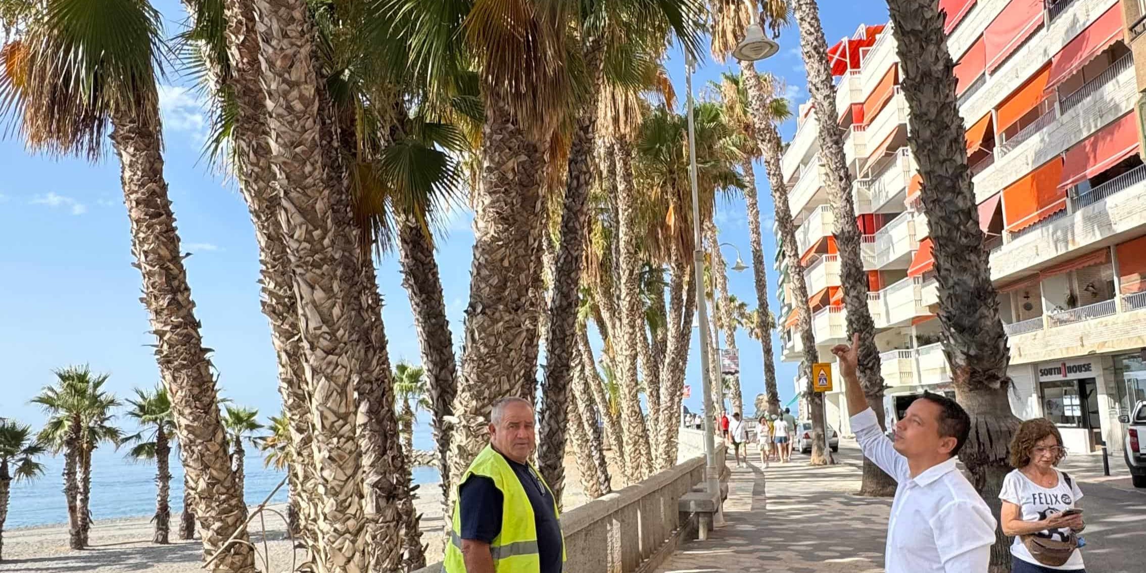 el-ayuntamiento-de-almunecar-realiza-una-poda-preventiva-en-el-paseo-de-la-caletilla-ante-la-proximidad-del-castillo-de-fuegos-del-15-de-agosto