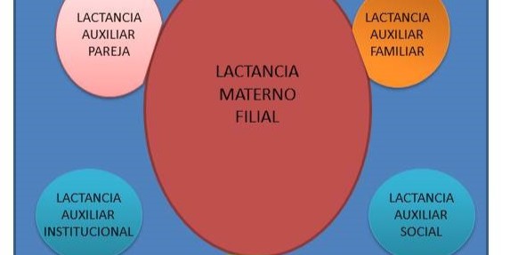 una-investigacion-en-la-que-participa-la-ugr-impulsa-un-modelo-innovador-de-lactancia-materna-mas-inclusiva-feminista-y-corresponsable