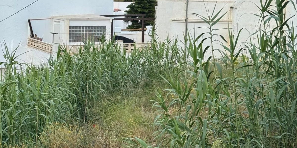 el-pp-de-salobrena-propone-una-campana-municipal-para-actuar-contra-los-solares-abandonados