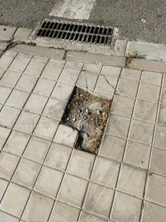el-psoe-de-motril-denuncia-abandono-y-la-falta-de-mantenimiento-y-limpieza-en-el-barrio-de-varadero
