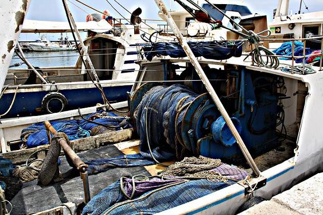 el-gobierno-amplia-la-cuota-de-gamba-roja-en-el-mediterraneo-en-2025-con-459-toneladas-adicionales