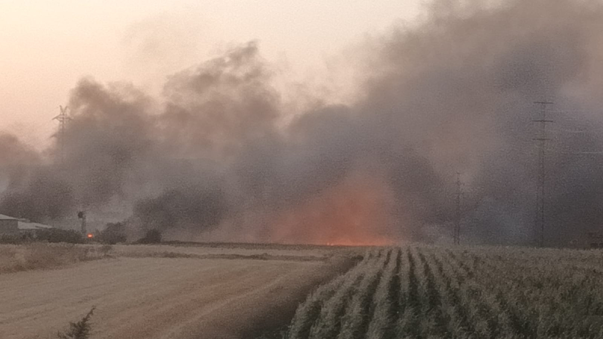 las-gabias-apagado-el-incendio-declarado-en-la-zona-de-hijar-y-gabia-grande
