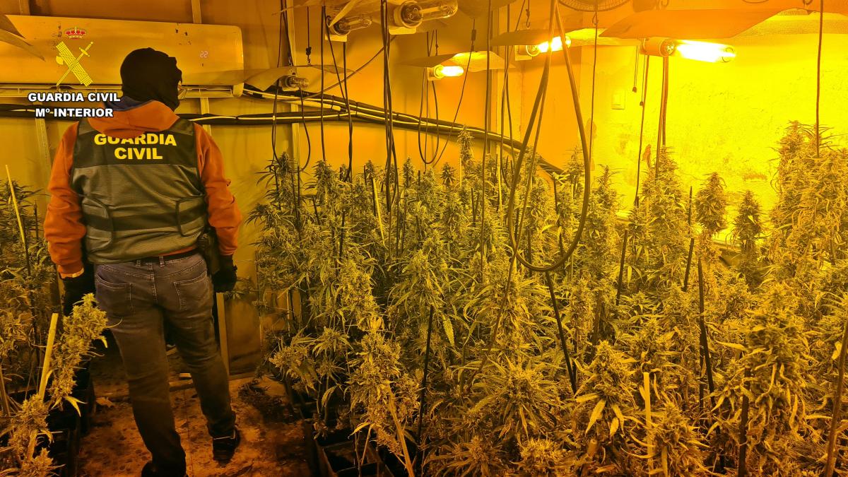 albolote-la-guardia-civil-desmantela-un-zulo-con-605-plantas-de-marihuana-y-detiene-a-un-hombre-de-42-anos