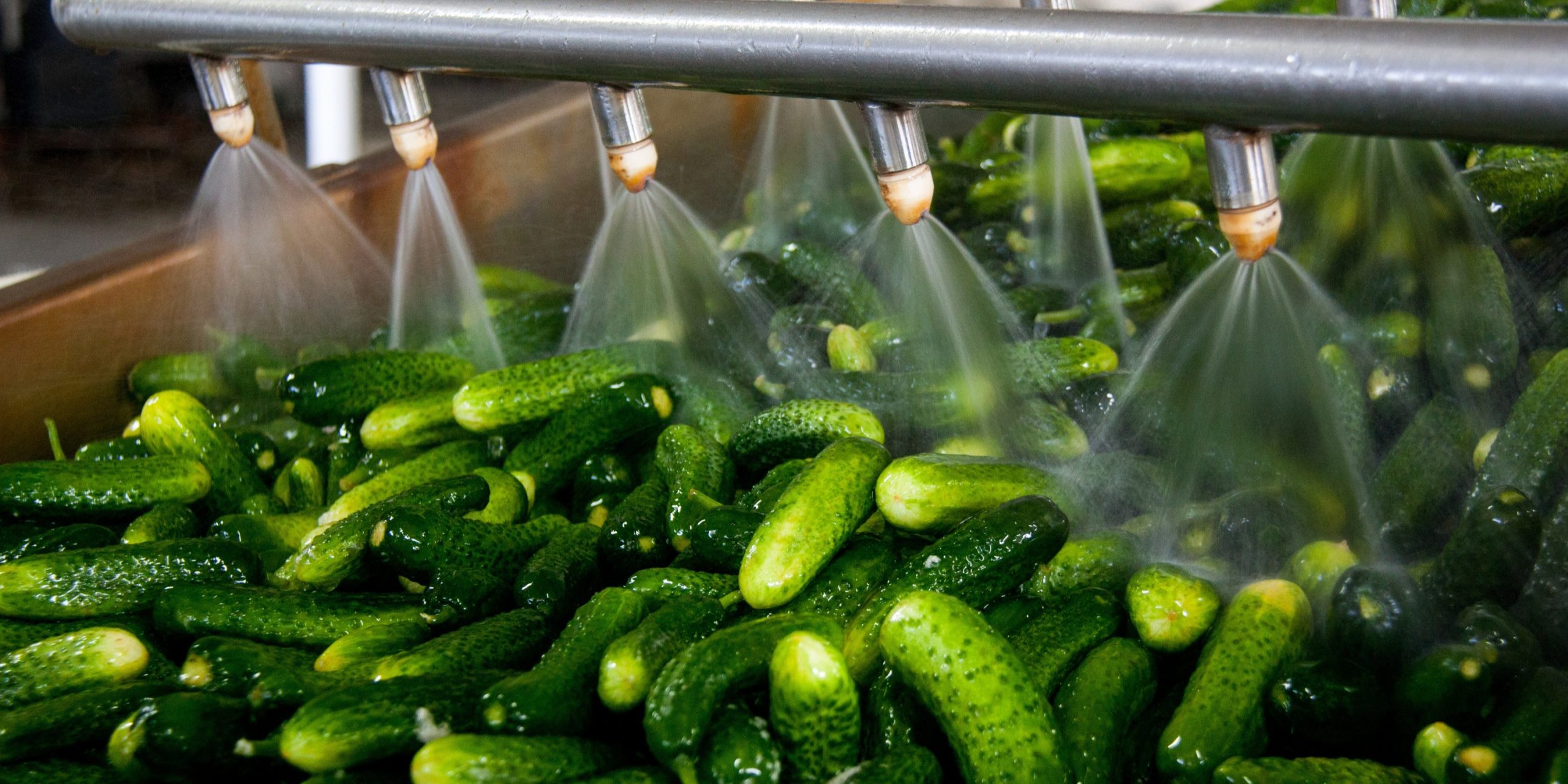 exportaciones-hortofruticolas-en-granada-superan-los-244-millones-de-euros-en-los-primeros-cinco-meses-de-2025