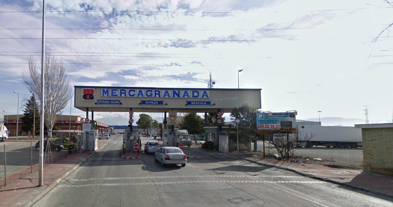 mercagranada-aprueba-un-presupuesto-de-389-millones-para-2026-con-un-crecimiento-del-345-y-mas-de-700-000-e-en-inversiones-sostenibles
