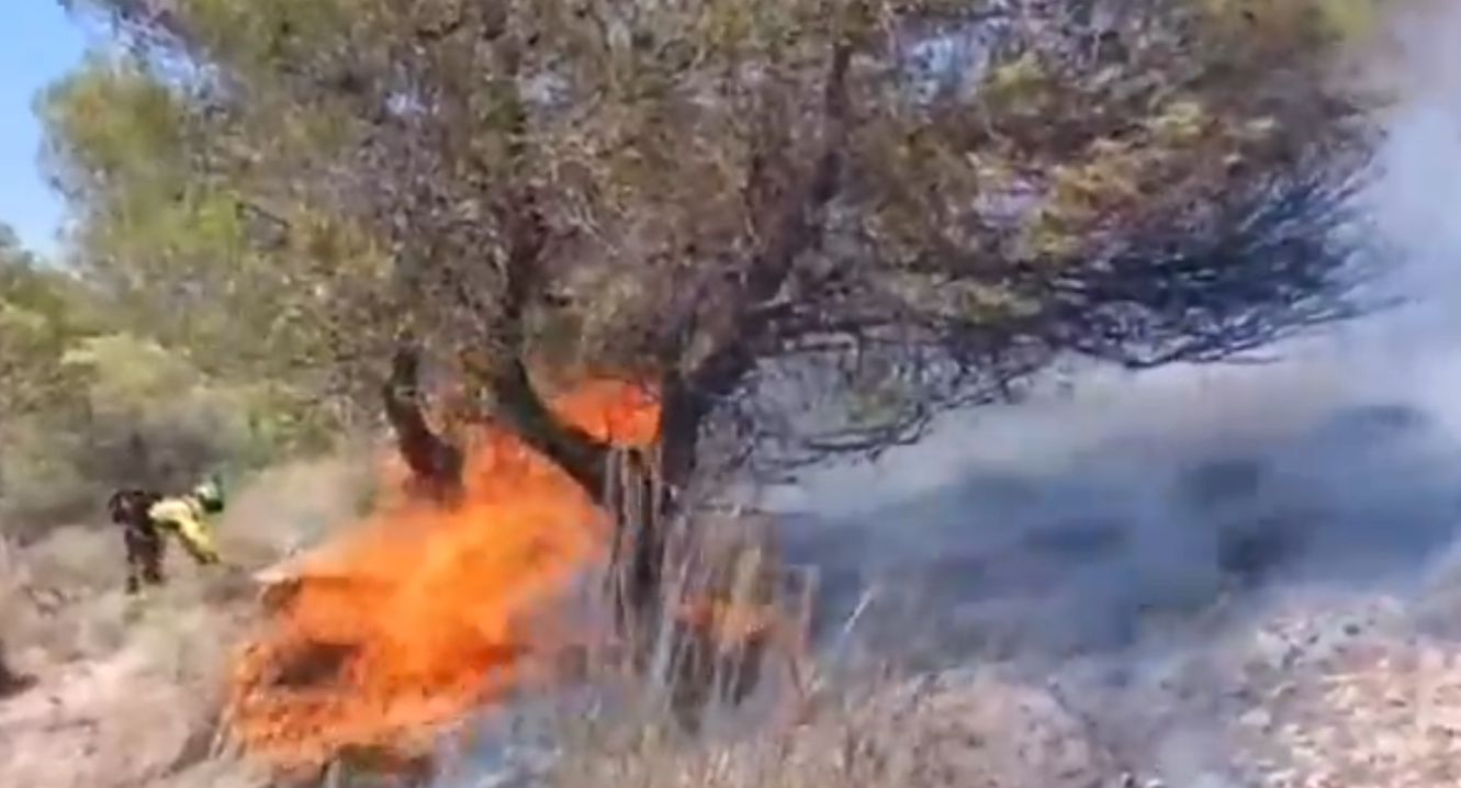 el-despliegue-aereo-y-terrestre-logra-estabilizar-el-incendio-en-benamaurel