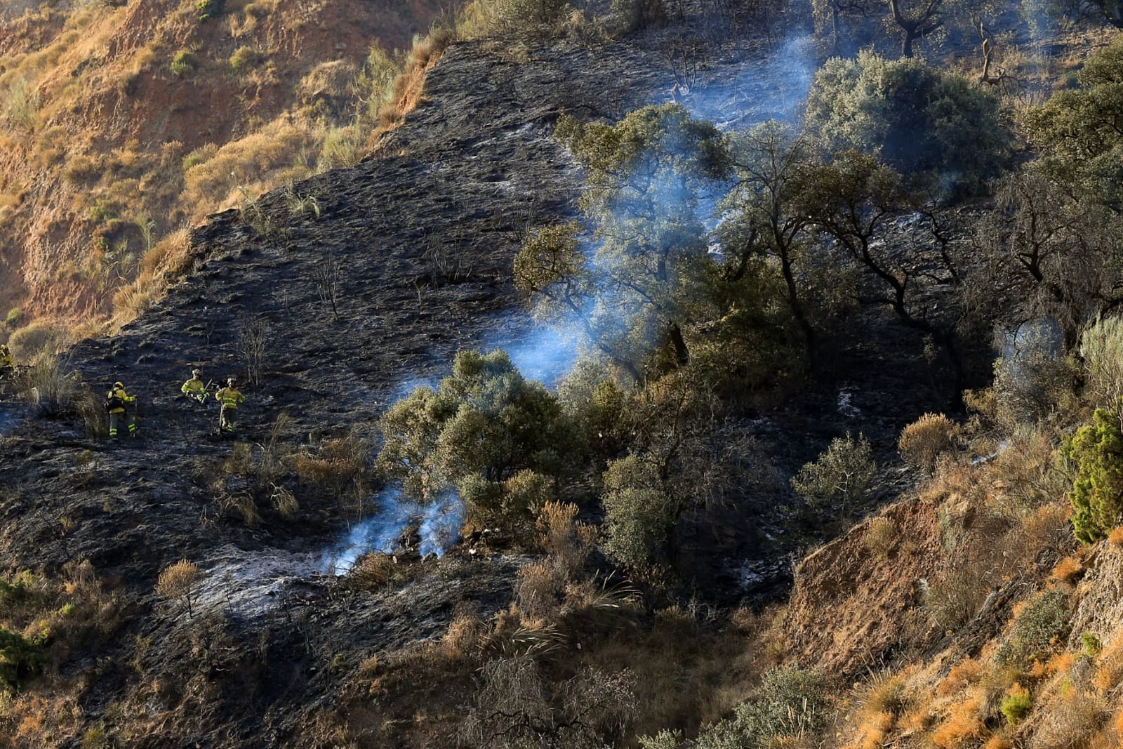 granada-estabilizado-el-incendio-de-la-fuente-de-la-bicha-tras-una-noche-de-tension-y-amplio-despliegue-de-medios