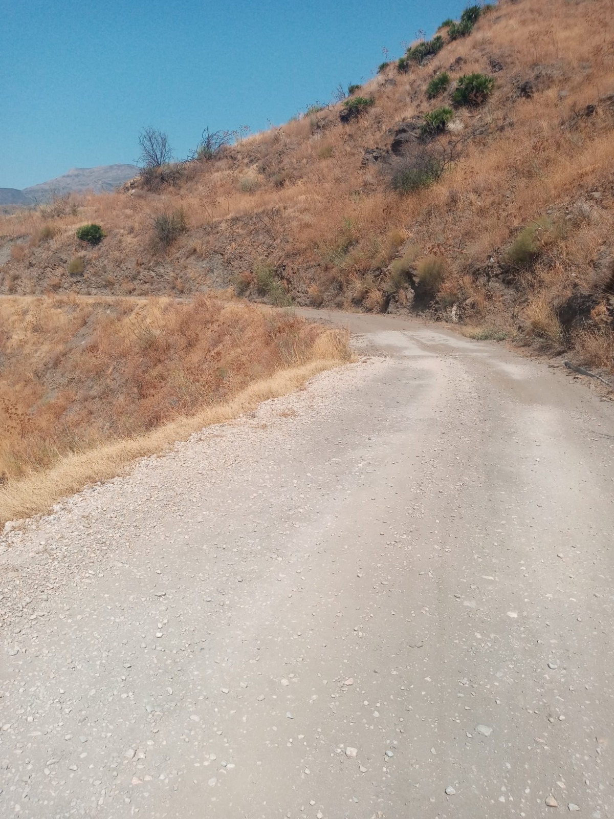 almunecar-invierte-85-800e-en-renovar-casi-1-km-del-camino-del-invernadero-con-mejoras-de-pavimento-y-drenaje-para-reforzar-la-competitividad-agricola