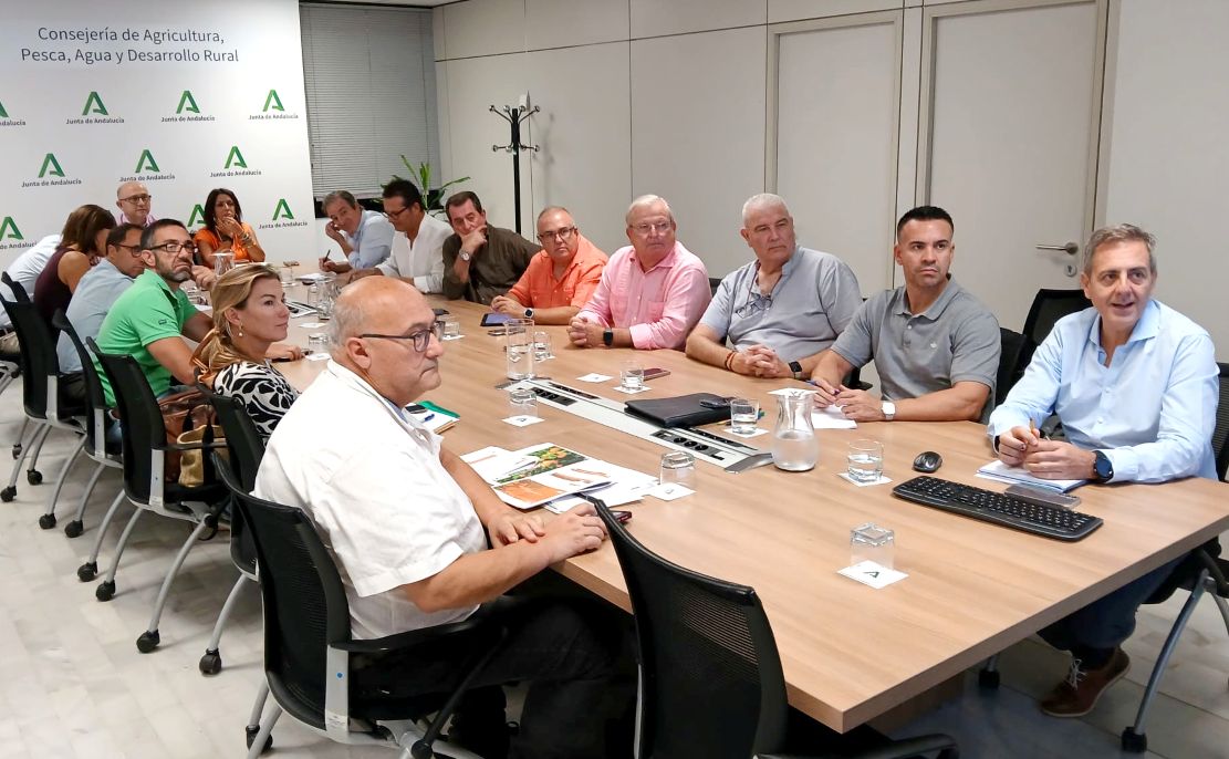 granada-preve-casi-6-000-toneladas-de-citricos-en-2025-2026-dentro-de-los-mas-de-2-millones-de-andalucia