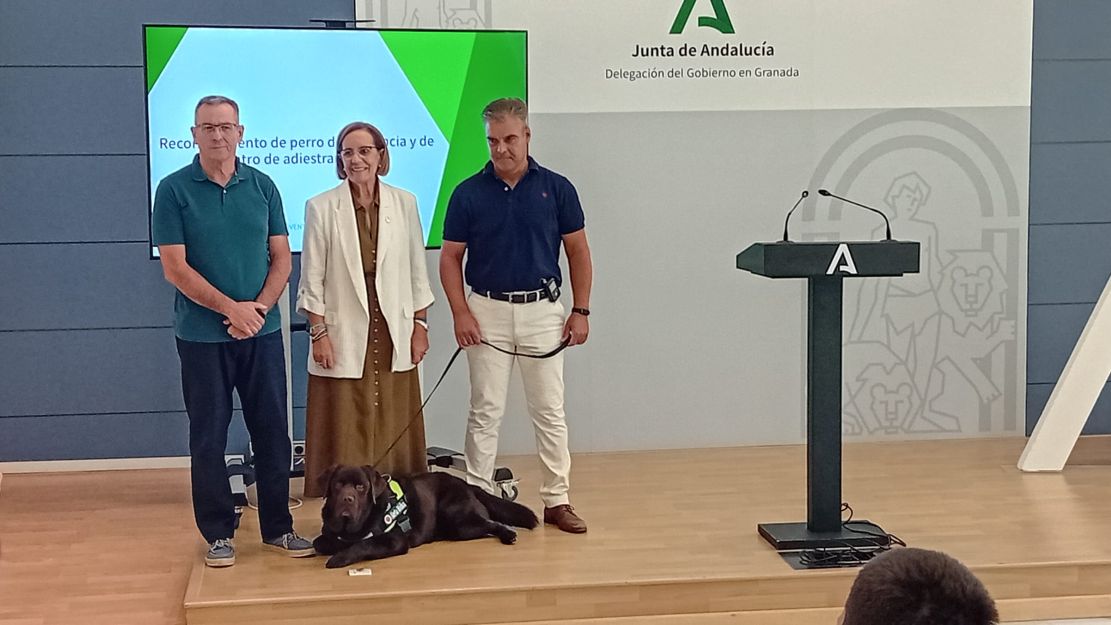 la-junta-regula-el-reconocimiento-de-perro-de-asistencia-y-de-centro-de-adiestramiento