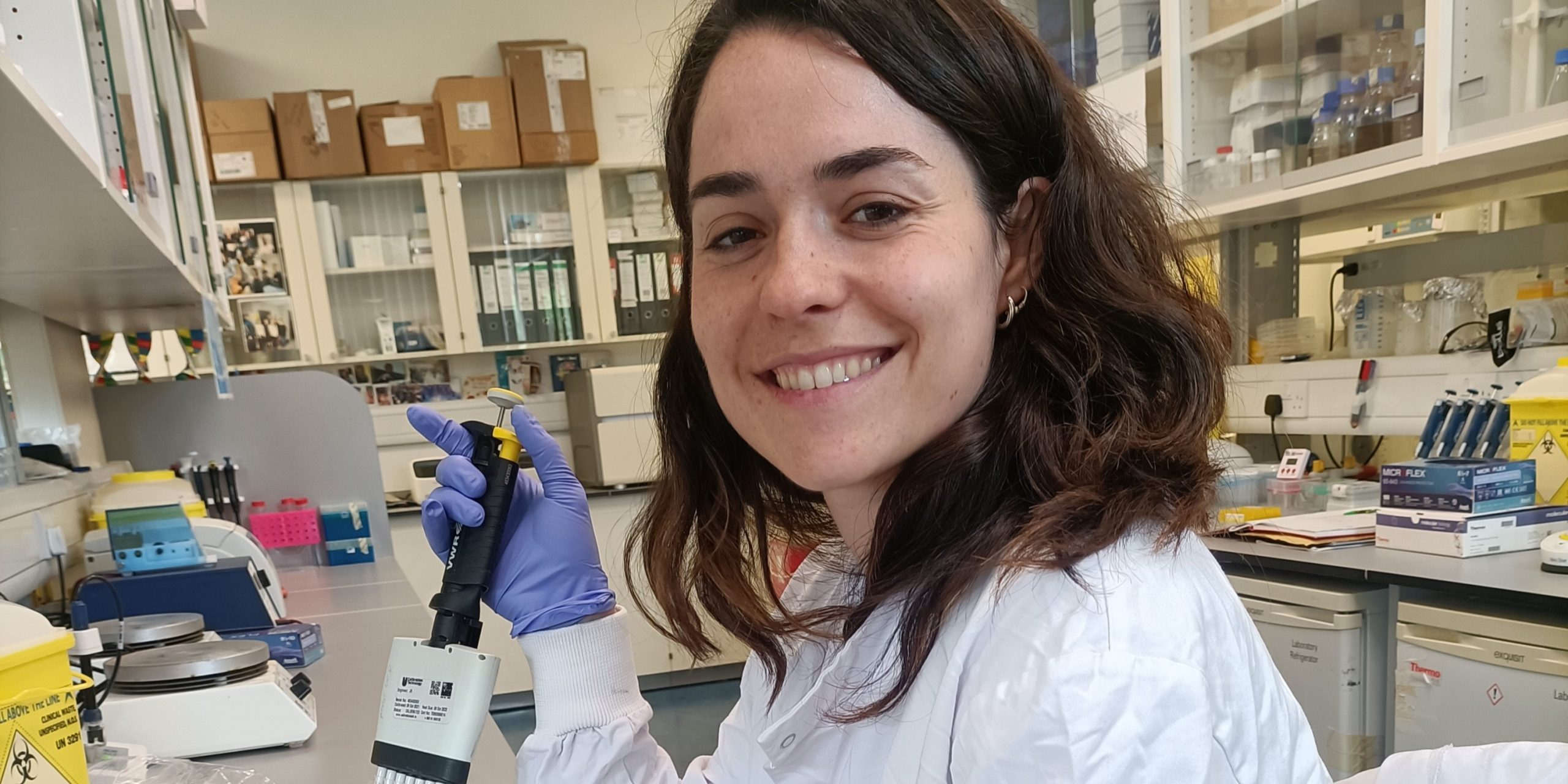 ugr-se-demuestra-como-la-anemia-por-deficiencia-de-hierro-provoca-importantes-alteraciones-en-la-salud-intestinal