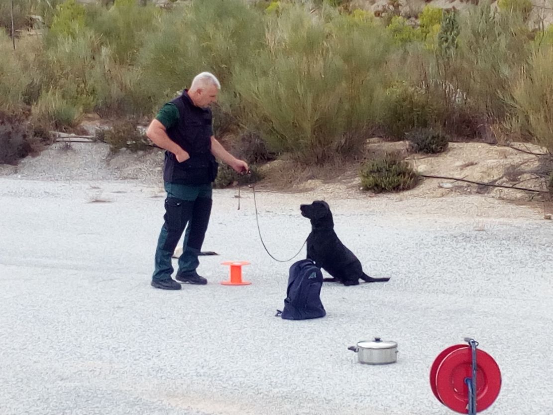 la-guardia-civil-de-granada-despide-a-un-veterano-del-servicio-cinologico