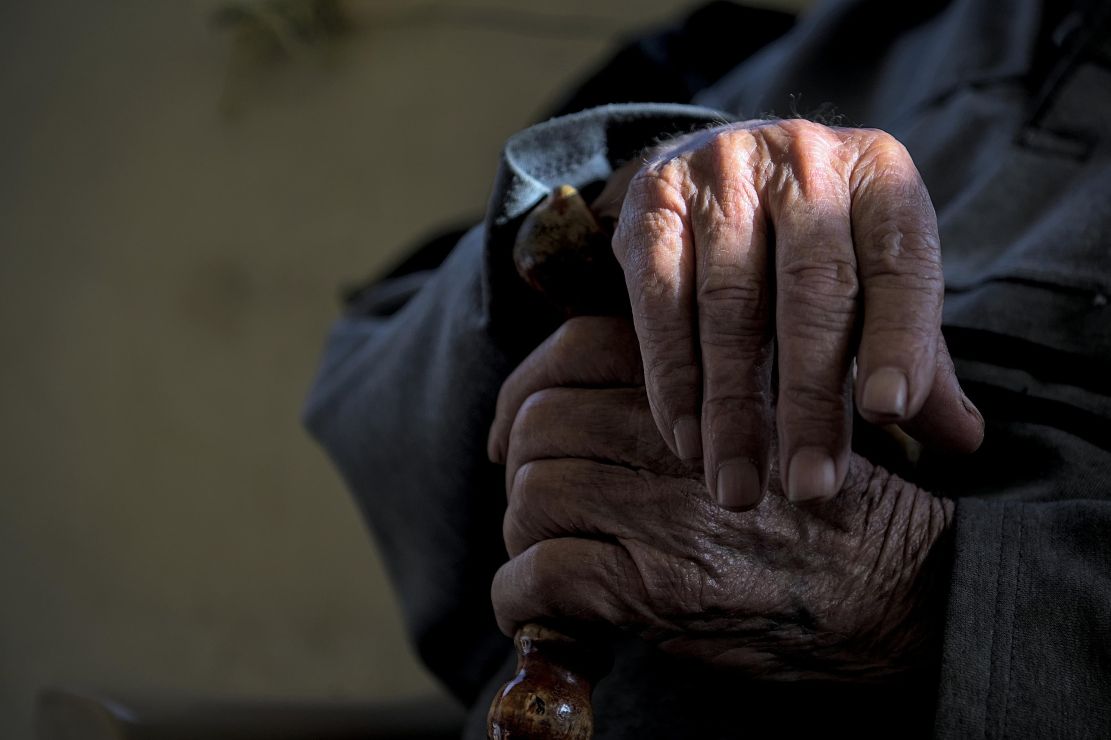 ugr-un-nuevo-estudio-sugiere-que-el-envejecimiento-empieza-en-las-primeras-fases-del-desarrollo-del-embrion-y-no-solo-en-la-vida-adulta