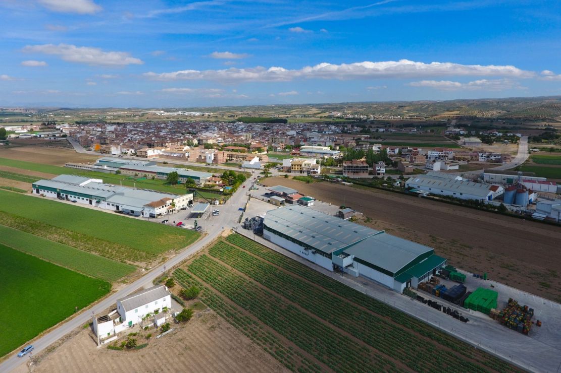huetor-tajar-centro-sur-mayor-productor-europeo-de-esparrago-verde-con-11-millones-de-kilos-anuales-y-miles-de-socios-destaca-en-fruit-attraction-2025