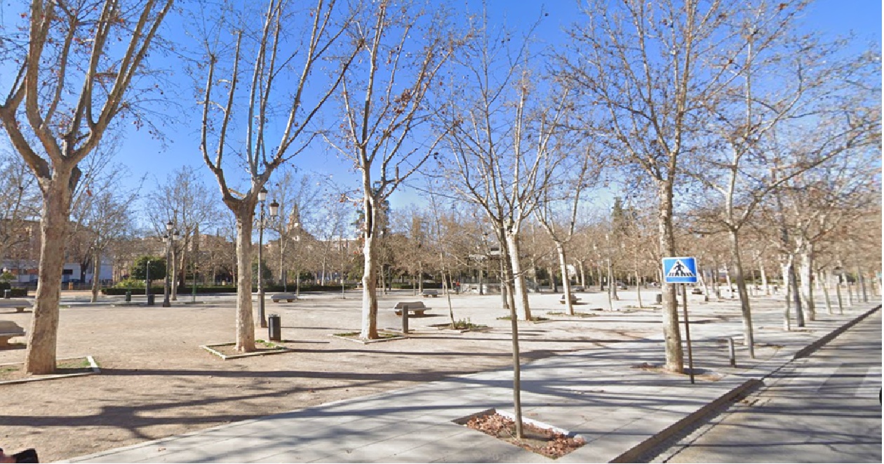 granada-contara-con-mas-de-2-500-nuevos-arboles-y-de-12-000-arbustos-como-parte-del-i-plan-municipal-de-obras-2024-2027