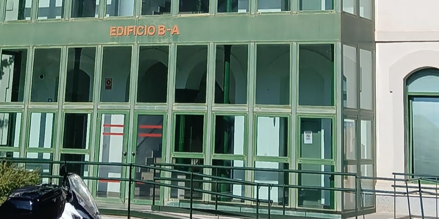 ccoo-alerta-del-colapso-del-servicio-de-movilidad-en-granada-12-empleados-gestionan-mas-de-4-000-expedientes-y-reclaman-refuerzos-urgentes