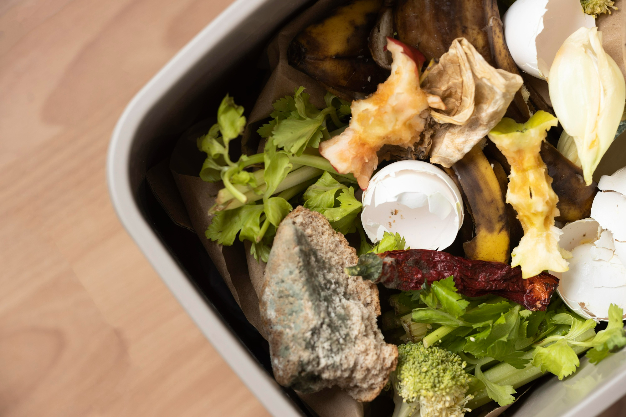 mas-de-1-000-millones-de-comidas-acaban-en-la-basura-cada-dia-mientras-735-millones-de-personas-pasan-hambre