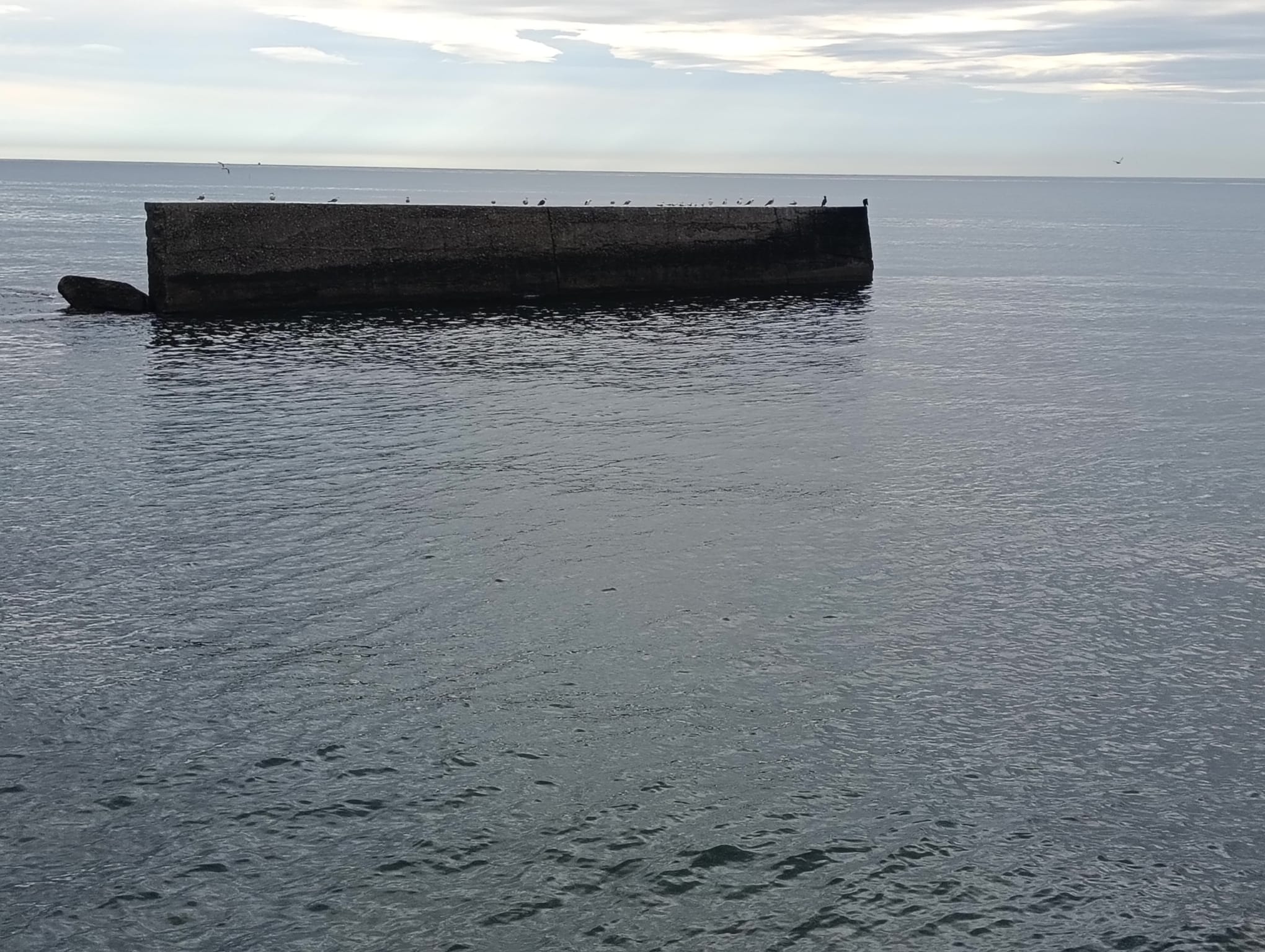 el-sol-se-aduena-de-la-costa-tropical-una-semana-de-buen-tiempo-y-bano-con-el-mar-a-19-grados