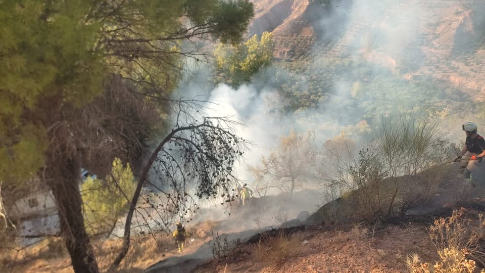 granada-activo-un-incendio-forestal-en-guevejar-en-el-cruce-con-nivar