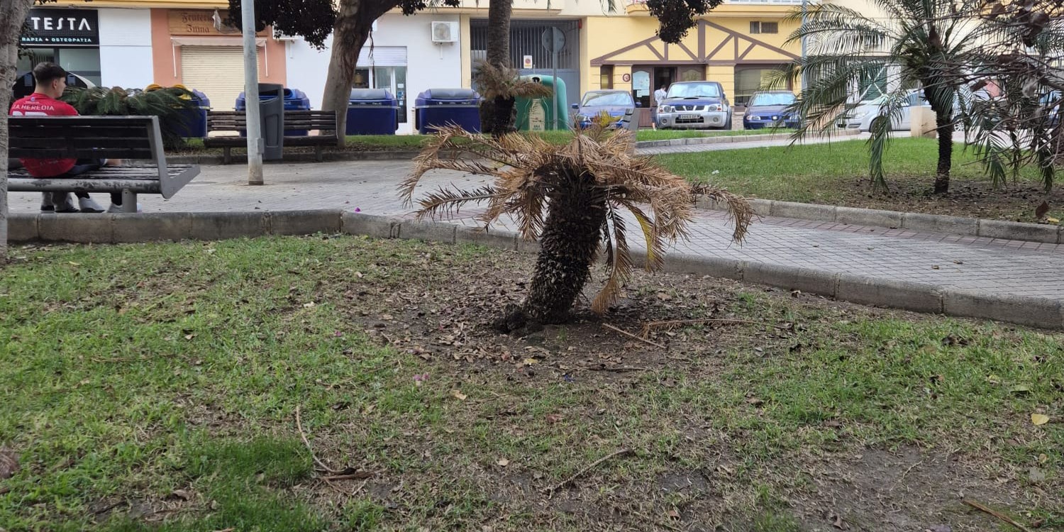 centrados-en-motril-alerta-del-estado-de-dejadez-y-suciedad-que-sufre-la-zona-de-los-rios