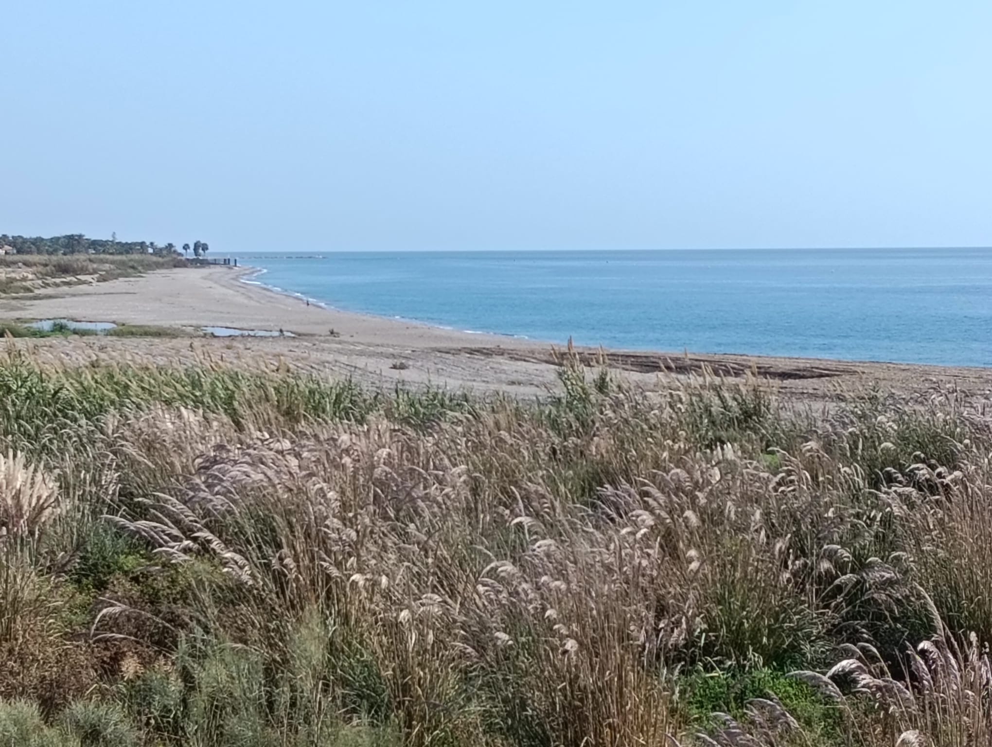 salobrena-se-estrena-en-el-circuito-provincial-de-pesca-con-una-jornada-mar-costa-este-sabado