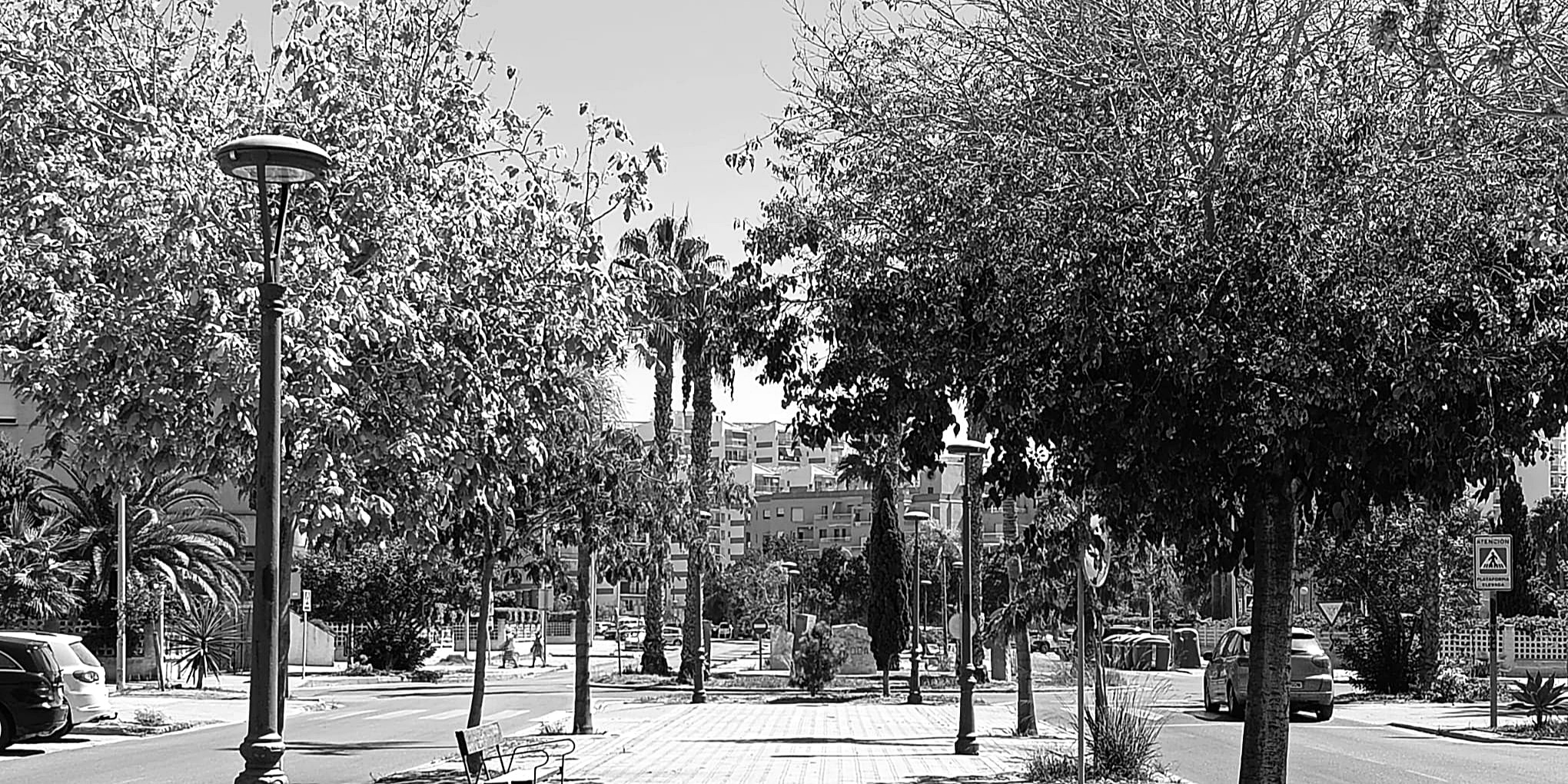 el-dia-de-todos-los-santos-en-granada-se-saborea-entre-gachas-castanas-y-dulces-de-otono