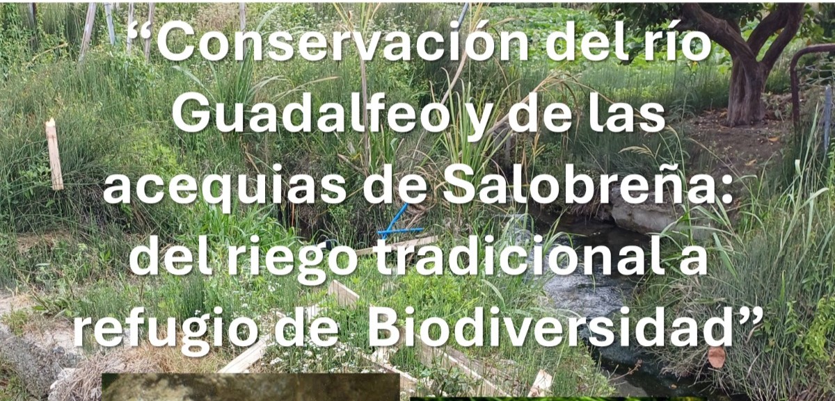 salobrena-redescubre-sus-acequias-una-ruta-gratuita-para-conectar-con-la-biodiversidad-y-el-patrimonio-agricola