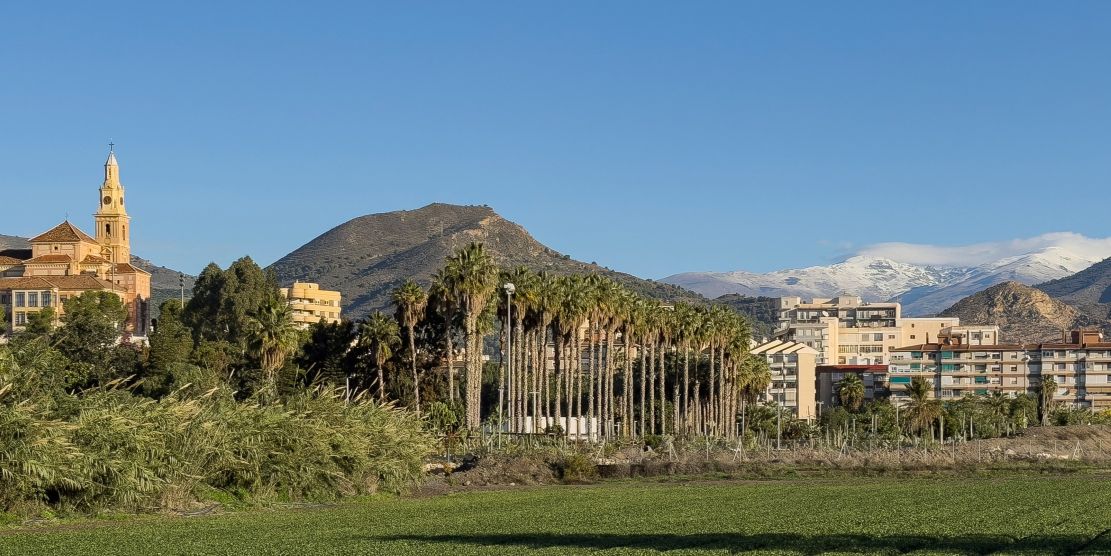 granada-roza-los-3o-mientras-motril-se-eleva-a-los-12o-las-maximas-oscilaran-entre-los-17o-de-la-costa-y-los-13o-de-la-capitalegun-aemet