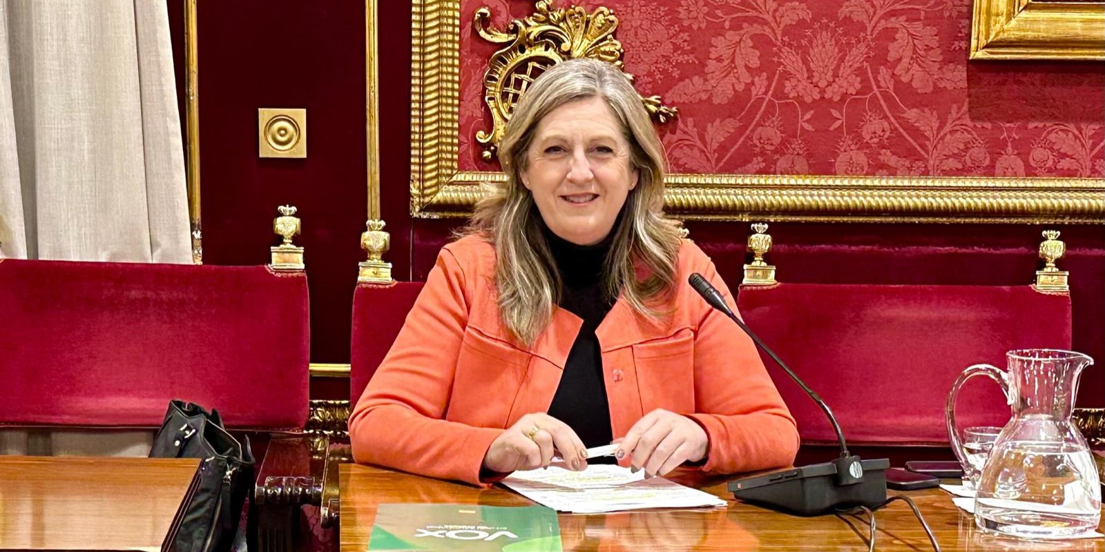 granada-vox-exige-al-ayuntamiento-intensificar-las-actuaciones-contra-la-venta-ambulante-ilegal-que-perjudica-gravemente-al-comercio-local