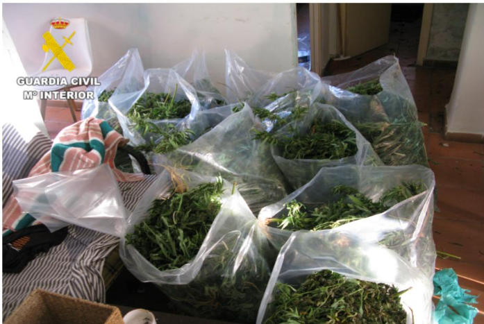 motril-desarticulado-un-grupo-criminal-de-vuelcos-de-marihuana-entre-salobrena-y-almunecar-con-once-detenidos