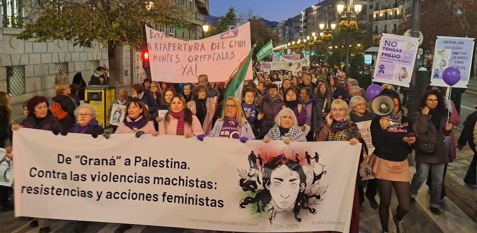 granada-clama-contra-la-violencia-machista-en-una-marcha-marcada-por-la-solidaridad-con-palestina