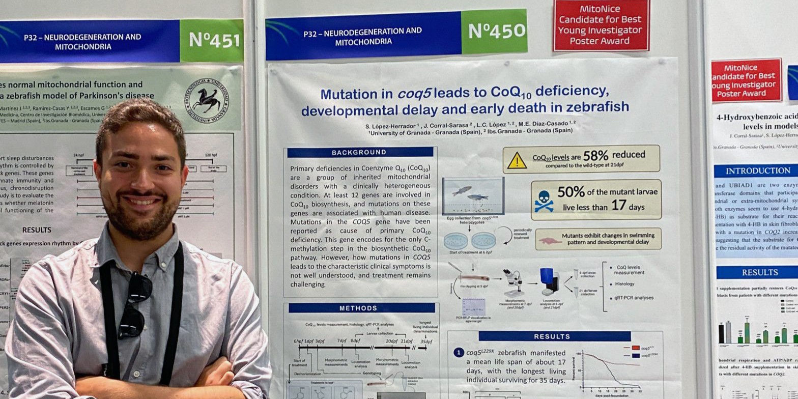 granada-cientificos-de-la-ugr-hallan-un-compuesto-natural-capaz-de-bloquear-el-avance-del-higado-graso-y-evitar-sus-formas-mas-graves