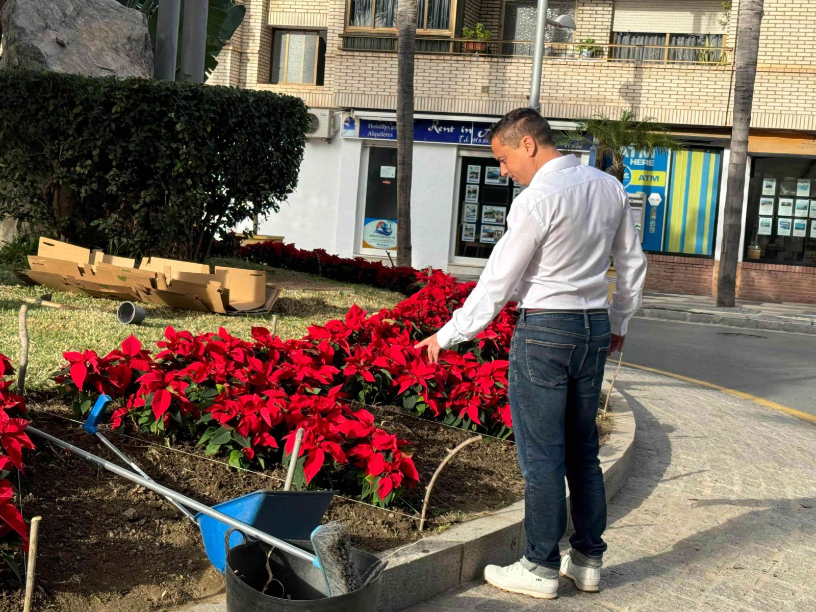 la-herradura-almunecar-inician-la-colocacion-de-mas-de-5-000-pascueros-para-vestir-calles-paseos-y-rotondas-antes-del-puente-de-la-constitucion
