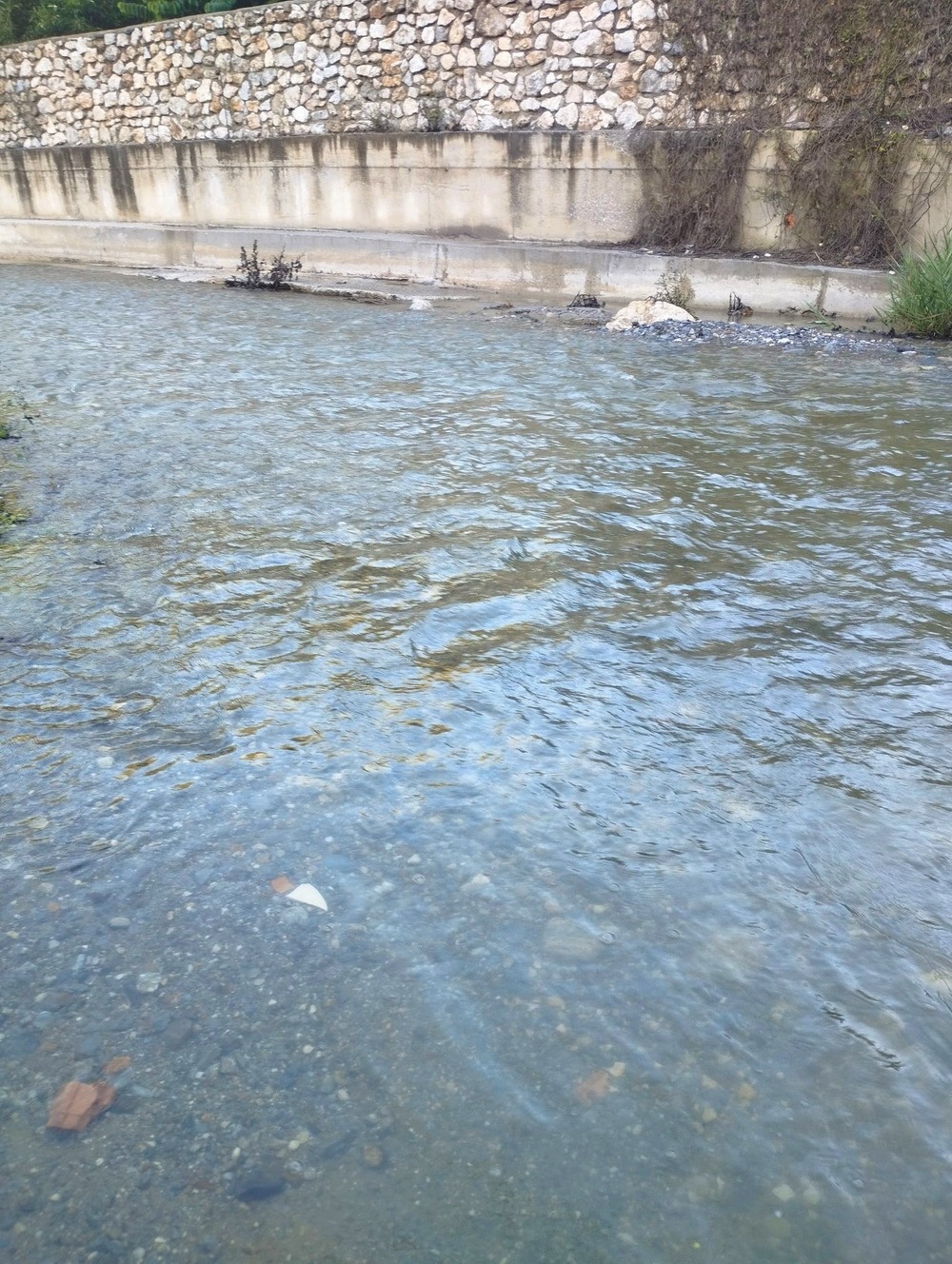 la-herradura-almunecar-acumulan-70-l-m%c2%b2-y-cazulas-120-l-m%c2%b2-de-lluvia-en-un-fin-de-semana-que-recarga-el-acuifero-sin-causar-danos