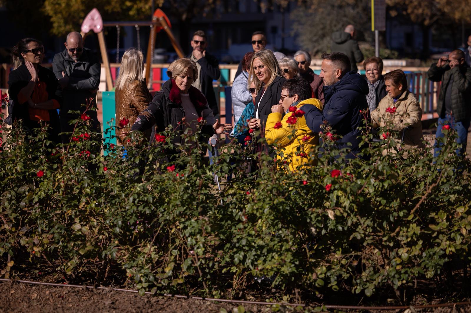 granada-inicia-mejoras-en-sus-zonas-verdes-con-el-nuevo-contrato-de-parques-y-jardines-de-476-millones-comenzando-por-el-parque-de-la-calle-jimena