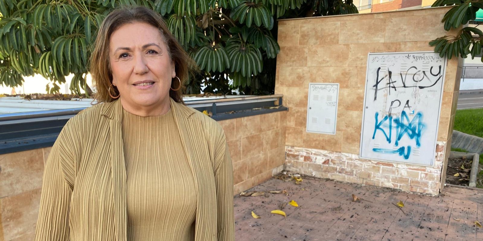 motril-el-psoe-critica-al-pp-por-aprobar-una-ordenanza-de-convivencia-copiada-y-sin-medios-para-aplicarla