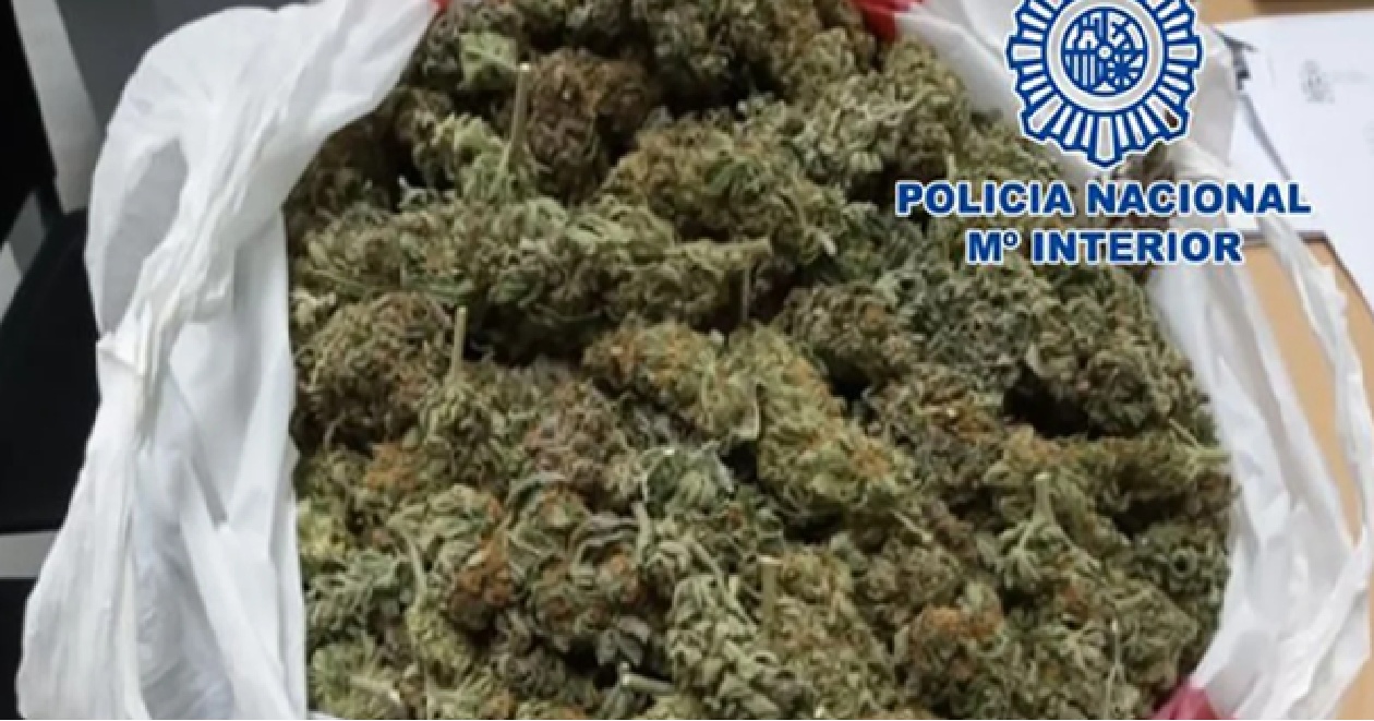 granada-detenido-en-el-distrito-norte-un-hombre-de-31-anos-al-recibir-una-manta-que-ocultaba-mas-de-4-kilos-de-cogollos-de-marihuana-listos-para-su-venta