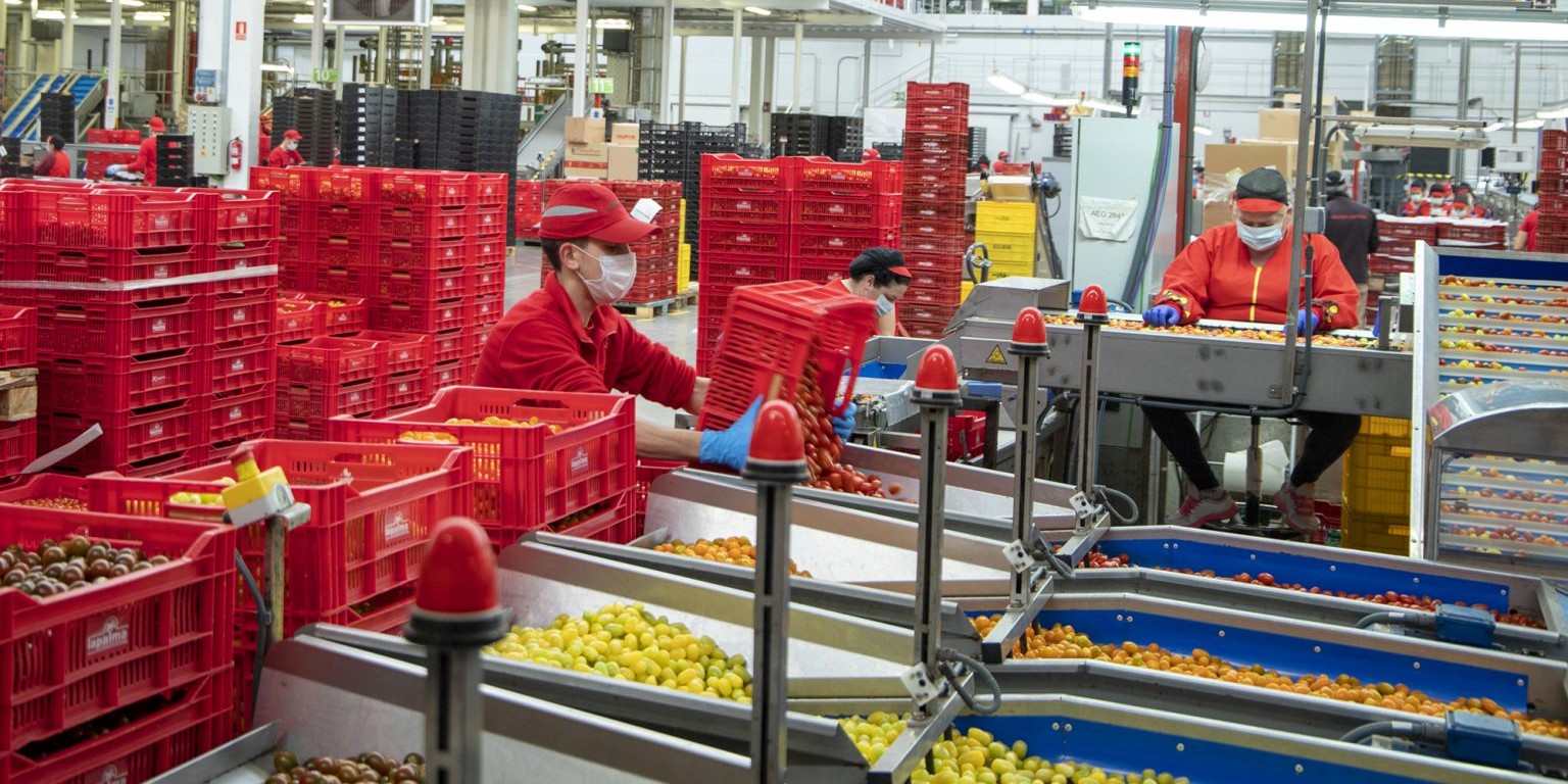 motril-huelga-en-el-sector-del-manipulados-de-la-costa-y-granada-afectara-a-9-000-trabajadoras-y-trabajadores-tras-bloqueo-del-convenio-colectivo