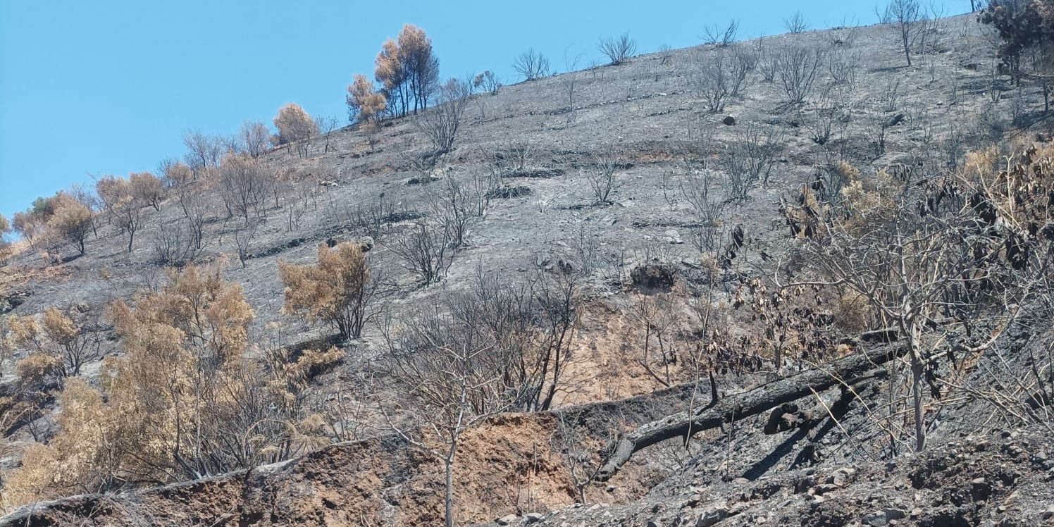 almunecar-la-herradura-el-psoe-pide-al-pp-que-deje-de-acusar-a-la-oposicion-y-asuma-sus-responsabilidades-con-las-familias-afectadas-por-el-incendio