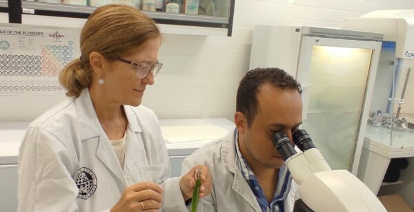 obtienen-biomasa-producida-por-microalgas-cultivadas-en-aguas-de-almazara