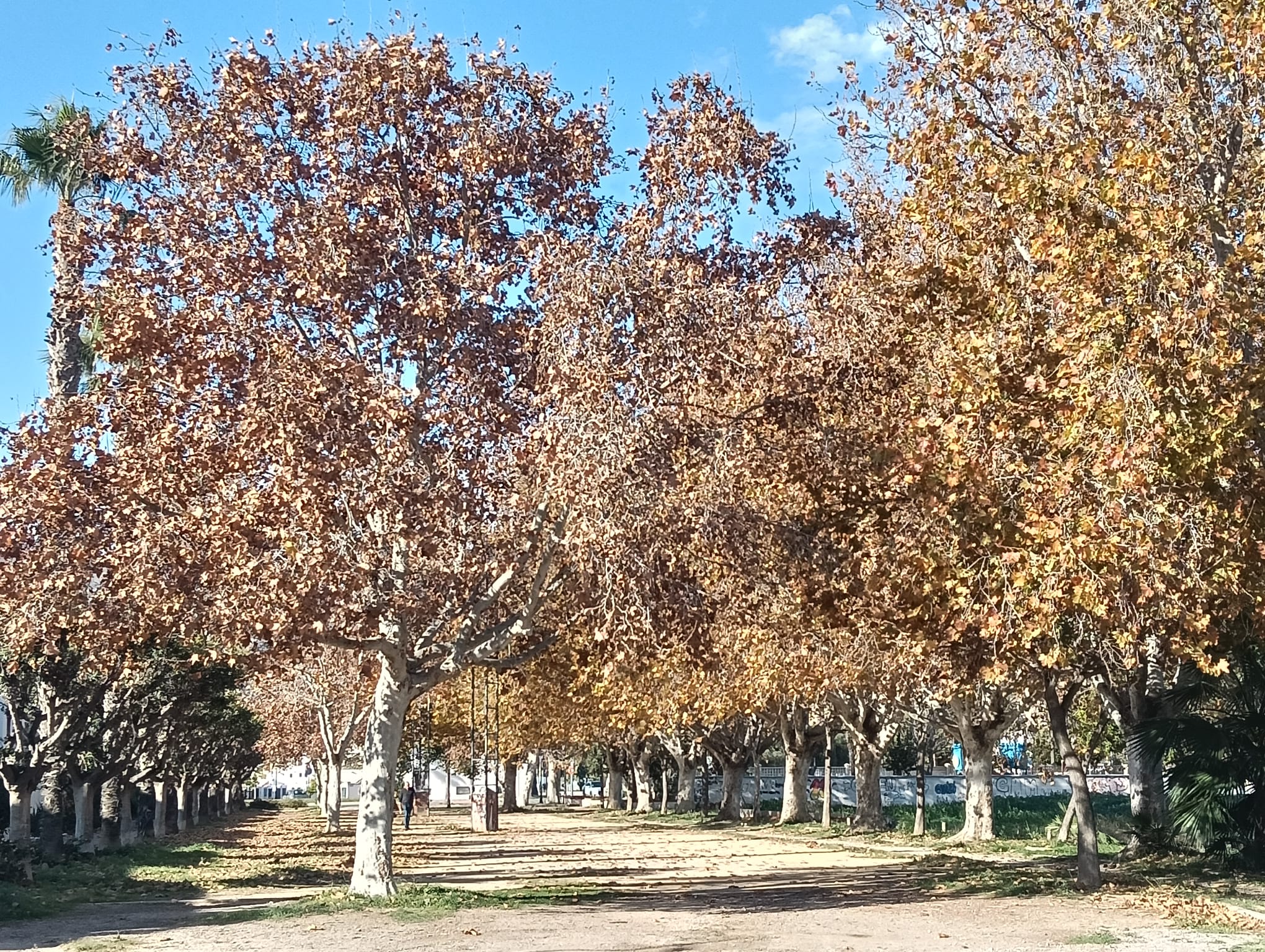 motril-nochebuena-con-lluvia-y-descenso-termico-hasta-los-8-c-de-minima-en-la-costa-de-granada