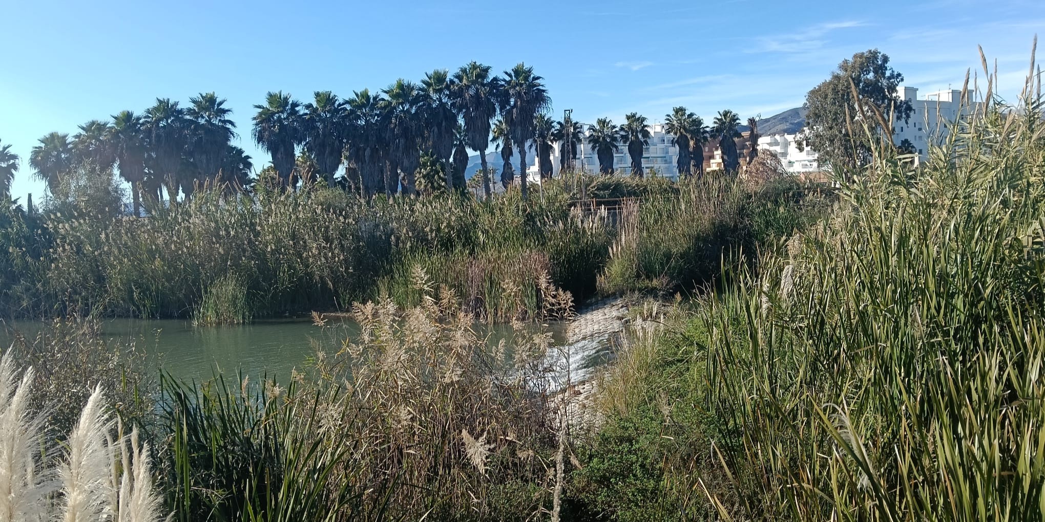 motril-del-sol-al-aguacero-asi-cambiara-el-tiempo-este-fin-de-semana-en-la-costa-de-granada
