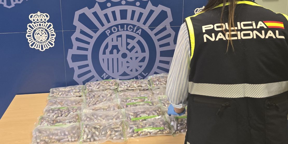 policia-nacional-desmantela-redes-de-drogas-en-granada-y-motril-36-detenidos-3-300-plantas-de-marihuana-y-260-kg-de-hachis-incautados-en-noviembre