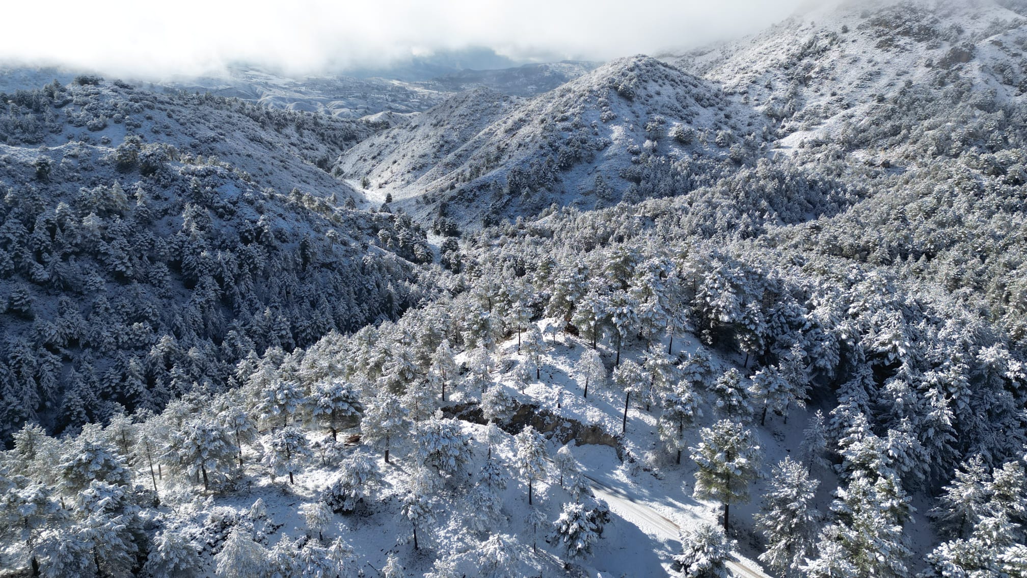 granada-vuelve-para-este-martes-la-lluvia-y-la-nieve-las-temperaturas-pscilaran-entre-3-y-9o-c