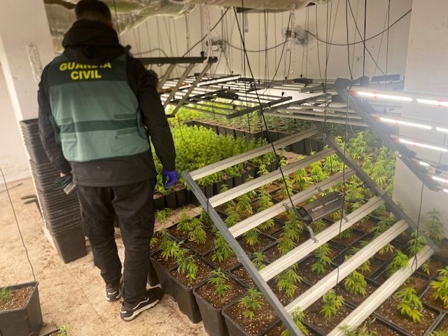 graanada-detenido-en-gojar-por-un-delito-contra-la-salud-publica-tras-intervenir-la-guardia-civil-casi-1-200-plantas-de-marihuana-y-detectar-defraudacion-electrica