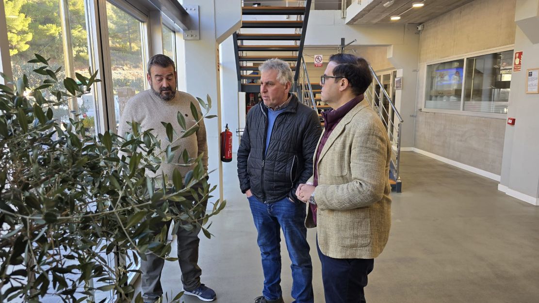 mancomunidad-y-el-alcalde-de-lenteji-visitan-aceites-aneas-para-destacar-su-aove-de-montana-empleo-local-y-potencial-de-oleoturismo