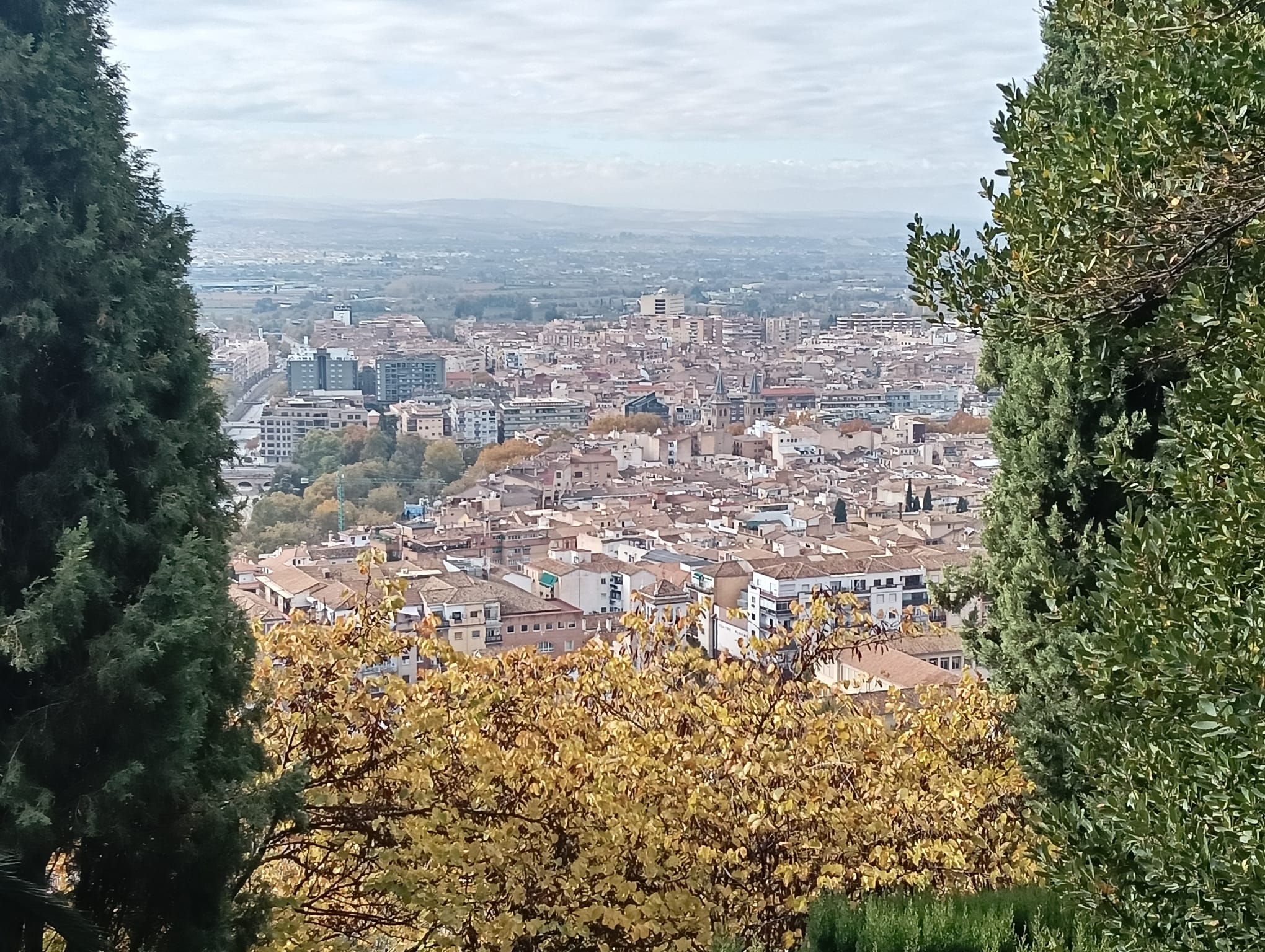 granada-registra-en-noviembre-la-mayor-caida-del-paro-en-una-decada-158-y-2-373-nuevos-afiliados-a-la-seguridad-social