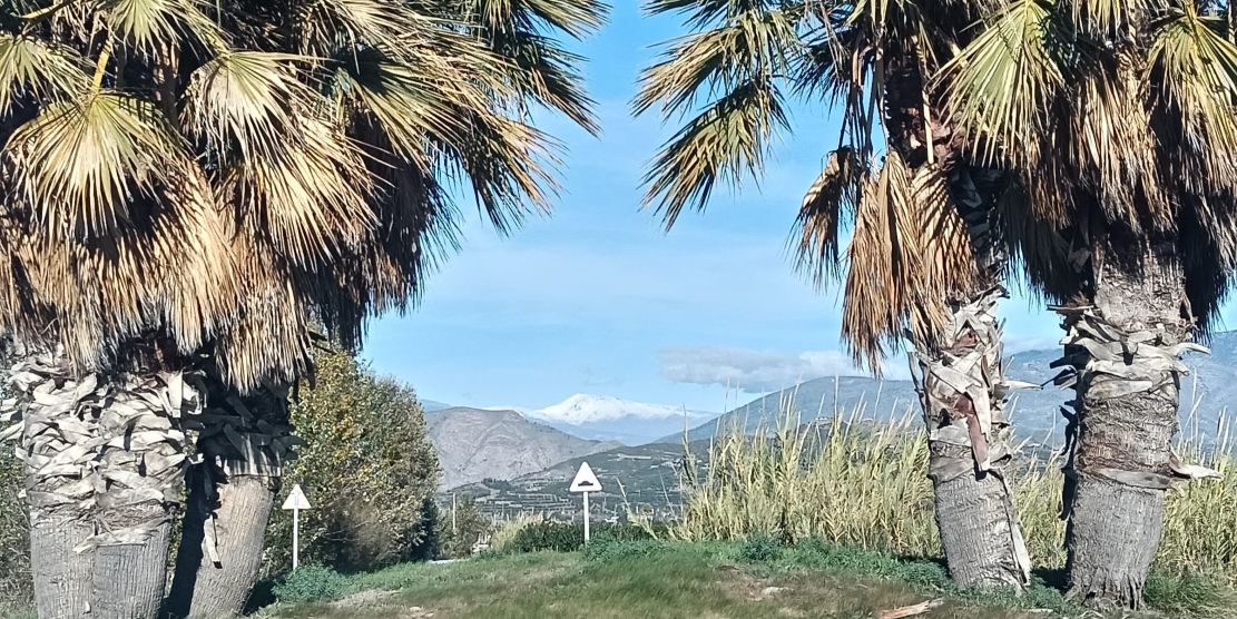 semana-estable-en-motril-y-la-costa-de-granada-temperaturas-entre-9-y-23-grados-antes-de-la-llegada-de-la-lluvia-el-fin-de-semana
