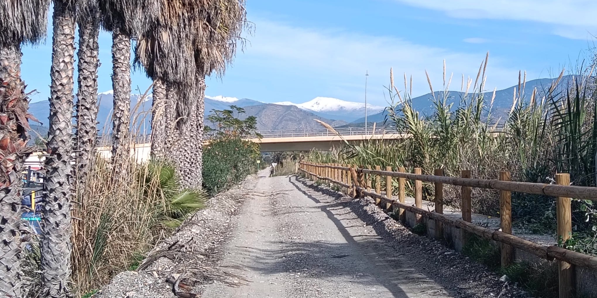 motril-semana-estable-para-la-costa-de-granada-con-maximas-de-20-c-y-minimas-entre-8-y-10-c-con-lluvias-al-final-del-fin-de-semana