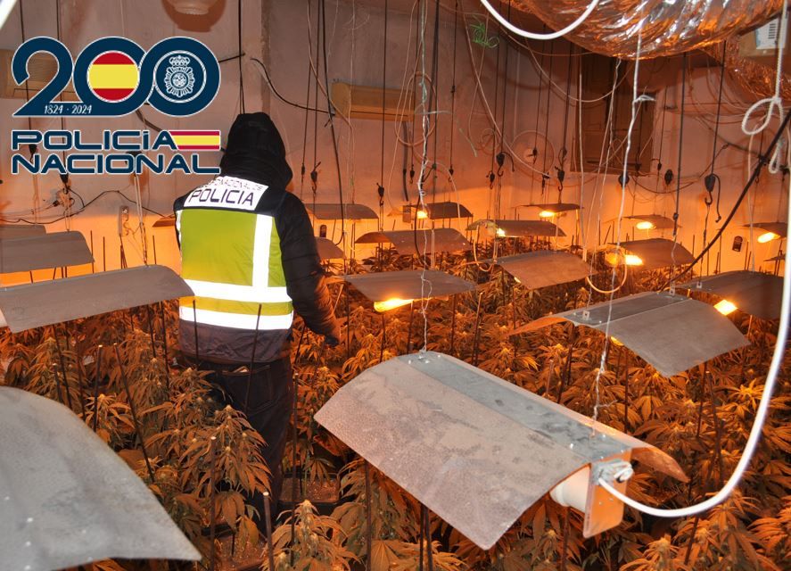 granada-la-policia-detiene-a-seis-personas-e-incauta-mas-de-300-plantas-de-marihuana-armas-blancas-y-350-euros-en-el-altiplano